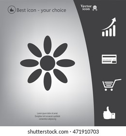 Vector Illustration Chamomile