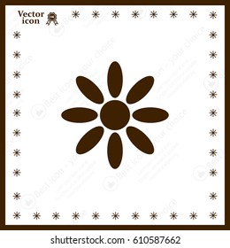 Vector Illustration Chamomile