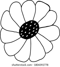 vector illustration. chamomile bud. flower petals sketch. graphic art. Hand drawn 