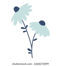 Vector illustration of chamomile in flat design. Camomile flowers with dark blue leaves. Blossom flowers in blue color. Spring botanical illustration.