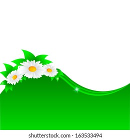 Vector illustration of chamomile flower