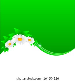 Vector illustration of chamomile flower