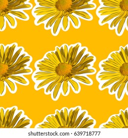 Vector Illustration chamomile flower seamless background. Beautiful yellow daisy flower isolated.