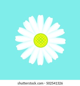 Vector Illustration chamomile flowers. Beautiful white daisy flower isolated. For greeting cards and invitations of wedding, birthday, mother's day and other seasonal holiday