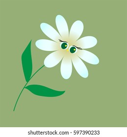 Vector Illustration chamomile flowers. Beautiful white daisy flower isolated. For greeting cards and invitations of wedding, birthday, mother's day and other seasonal holiday
