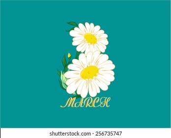 Vector Illustration chamomile flowers, Daisy, eight 8 of march, happy woman's day, holiday, digit
