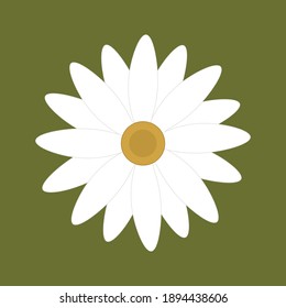 Vector illustration chamomile on a green background for wallpaper, wrapping paper, postcard, print, textile