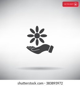 Vector Illustration Chamomile on hand