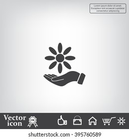 Vector Illustration Chamomile on hand