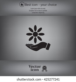 Vector Illustration Chamomile on hand