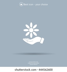 Vector Illustration Chamomile on hand