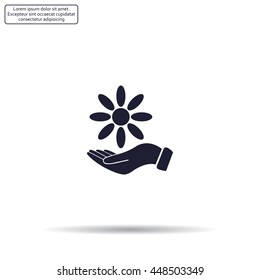 Vector Illustration Chamomile on hand