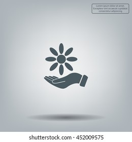 Vector Illustration Chamomile on hand