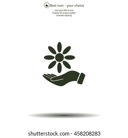 Vector Illustration Chamomile on hand