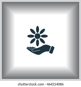 Vector Illustration Chamomile on hand