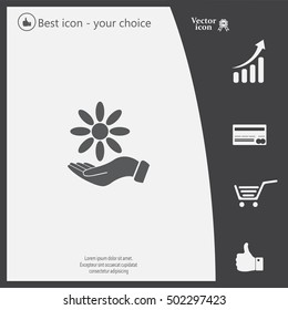 Vector Illustration Chamomile on hand