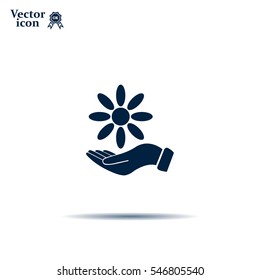 Vector Illustration Chamomile on hand