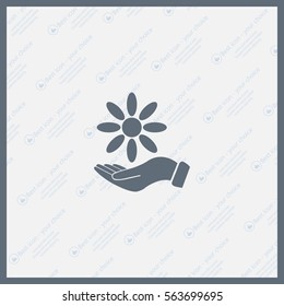 Vector Illustration Chamomile on hand