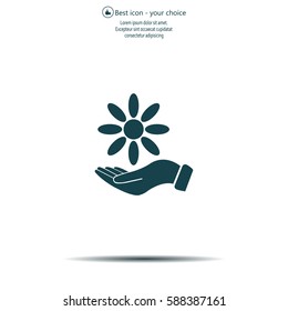 Vector Illustration Chamomile on hand