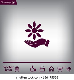 Vector Illustration Chamomile on hand