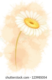 Vector Illustration of  chamomile on watercolor background.