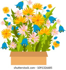 vector illustration of chamomiles, cornflowers and dandelions in a bouquet from a box without a background