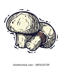 Vector illustration of champignon. Autumn mushroom picking for vegan food and cooking design