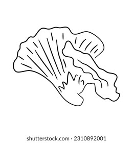 Vector illustration of a chanterelle in a doodle style with a hand-drawn black sketch.