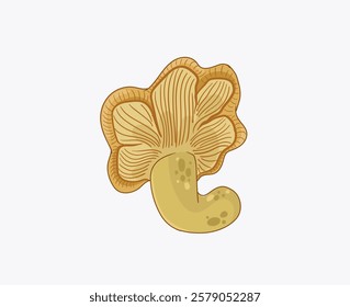 Vector illustration, chanterelle mushroom, isolated on white background.