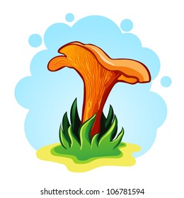 vector illustration chanterelle mushrooms