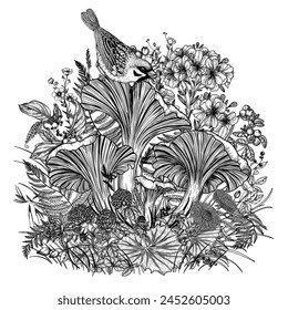 Vector illustration of chanterelle mushrooms in the forest with a sparrow. Wild berries, flowers and plants