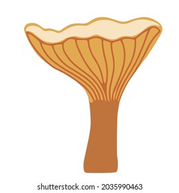 Vector illustration of Chanterelles mushrooms. Autumn symbol.  Isolated on a white background.