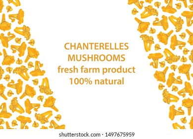 vector illustration of chanterelles mushrooms design background white and mushroom and text fresh farm product 100% natural EPS10