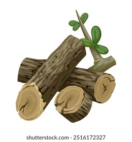 Ilustração vetorial da madeira de chaparro amargo ou chaparro amargo, nome científico Castela tortuosa, isolada sobre fundo branco.