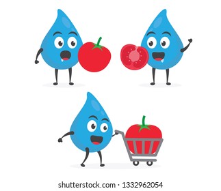 vector illustration character cartoon modern flat design brand of cute water blue mascot holding red delicious fresh tomato with trolley market shopping cart in white background