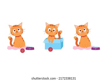 Vector illustration character collection cute cat
