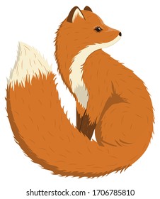 Diseño de carácter de ilustración vectorial zorro adorable 