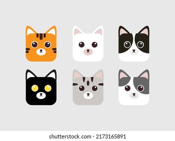 Vector illustration character design collection cute cats box
