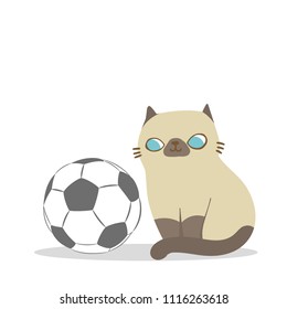 Vector illustration character design cute cat sitting beside a football ball. Pets and sports concept draw doodle cartoon style.