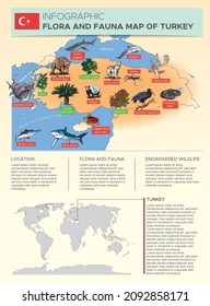 Vector illustration of characteristic examples of some of the flora and fauna of Turkey. Brochure design. Infographic design.