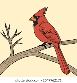 A vector illustration of a charming cardinal bird with a vibrant red plumage