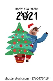 Vector illustration with a cheerful bull peeking from behind a Christmas tree. Winter card. Template for poster, postcard, print, packaging, clothes, fabric and other uses.