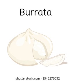 Vector illustration of cheese and burrata icon. Graphic of cheese and piece vector icon for stock.