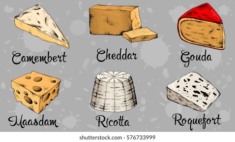 Vector illustration of cheese collection: roquefort, camembert, cheddar, gouda, maasdam, ricotta