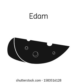 Vector illustration of cheese and edem sign. Web element of cheese and piece stock vector illustration.
