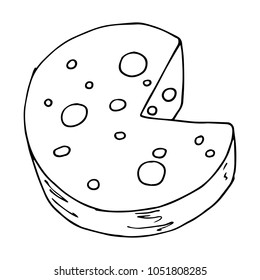 Vector illustration of cheese. Hand drawn cheese.