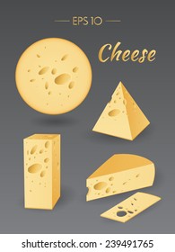 Vector illustration. Cheese. Milk product. Set of different pieces of cheese. Food collection