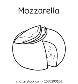 Vector illustration of cheese and mozzarella icon. Graphic of cheese and piece stock vector illustration.