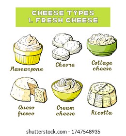 Vector illustration of cheese types and sorts