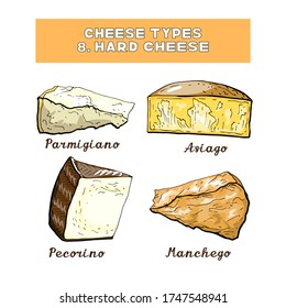 Vector illustration of cheese types and sorts